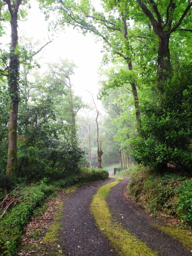 Les Gites Des Beaux Chenes Mortagne-sur-Sevre エクステリア 写真